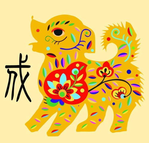 生肖龙：五颗星大满贯！