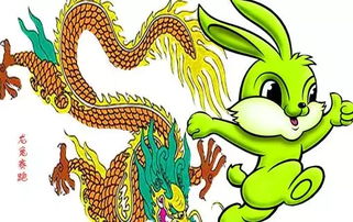 01年属蛇和99年属兔的八字合不合婚姻？这对生肖配对是否适宜？
