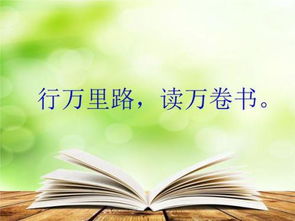 名字的艺术：无字之书的启示