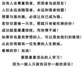 各路大师的辛酸血泪史