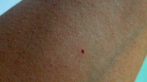 研究方法与资料来源