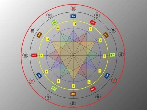 十二生肖尾数吉凶表，哪个生肖尾巴吉利？