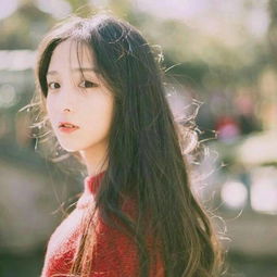 寅虎与卯兔：勇猛果敢与温柔贤淑的二元对立与融合