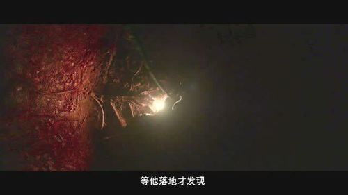 ：夜较深人静之际智慧叙事的文化底蕴意蕴