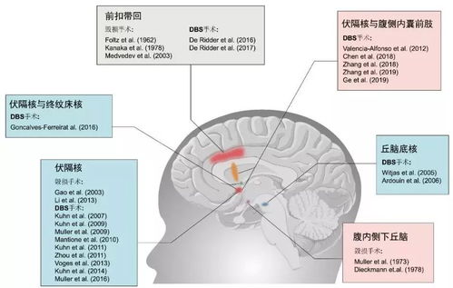 传统医药对汗液属性的阐释