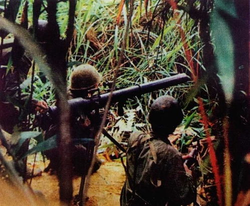 原来这就是传说中的药食同源