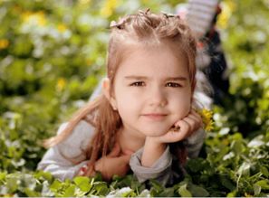 二、  寓意幸福与温暖的情感共鸣机制