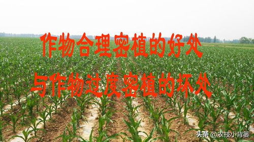 三、 饮食养生类农谚