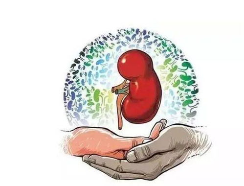 请问有没有人知道无病无灾出生的具体时辰是什么？