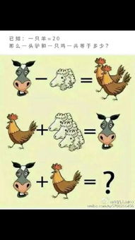 能知玄机妙属什么生肖？妙字代表的生肖是什么生肖？