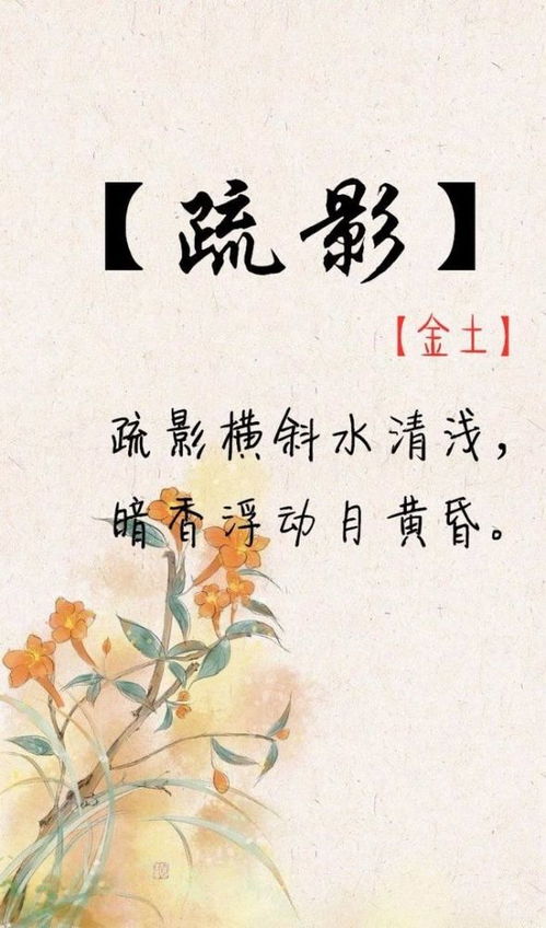 乐展驰：驰骋未来 奋发向前 (这名字凑合吧…)