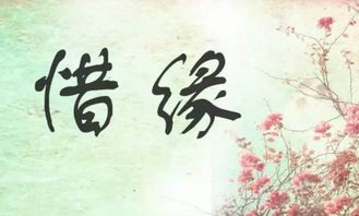 我的八字显示修行缘分，该如何寻找适合自己的修行方法？