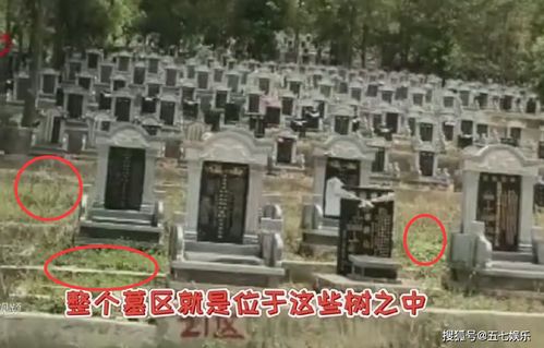 五、 心理需求与孝道实践探析