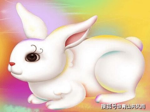 1963年属兔女性在2026年运势如何？