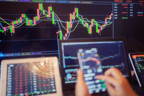 2026年1月和8月有哪些吉日适合进行过火活动？