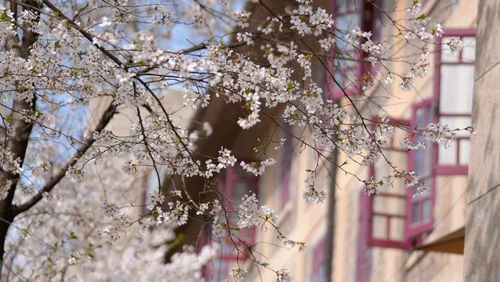 “月满西楼”：生活感悟与人生百态的哲思沉淀