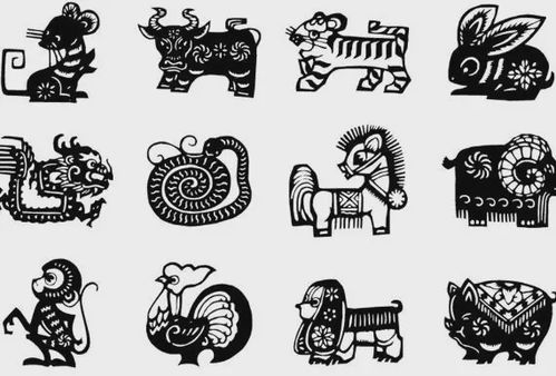 龙的三合生肖具体包括哪些生肖呢？