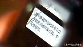 跨学科解释框架构建