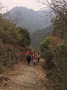 鼓山古道徒步体验之旅：一场说走就走的“虐腿”狂欢