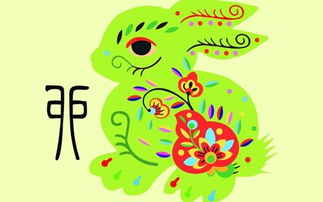 1975年属兔如何通过方法提升财运和桃花运？