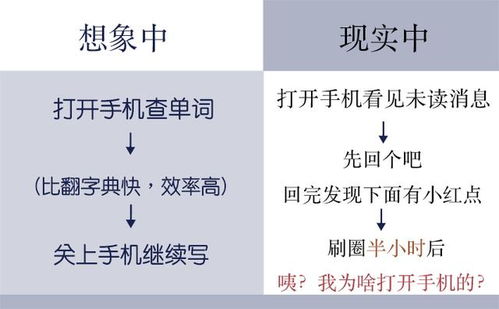 2.2 文化因素的影响： “缓缓来”与“急功近利”