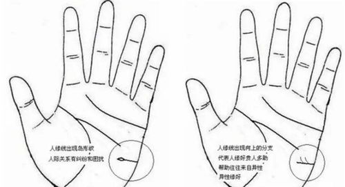 1.1 核心纹理特征与象征意义