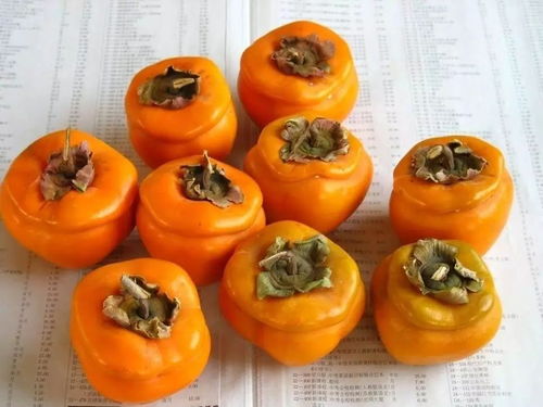 1.2 酒精饮品：加重胃肠负担