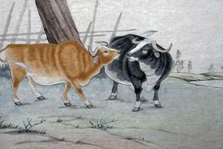 一鸣惊人指的是什么动物，其象征意义是什么？