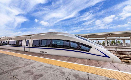 电驴大军太壮观了