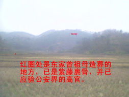 一、 原始资料的文本来源与基本信息