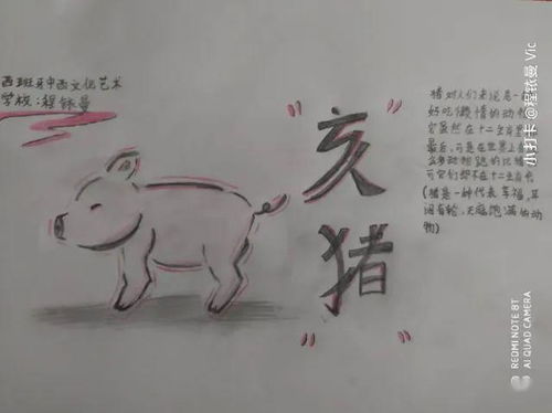 杂乱无章指的是哪个生肖，这个成语用来形容哪个生肖的行为或特点？