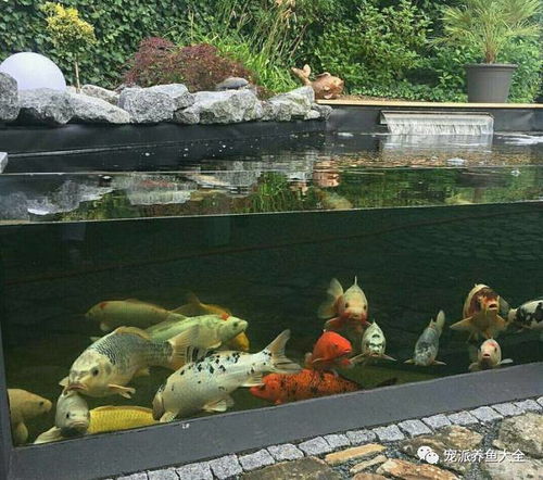 （一）单数与奇数之偏好