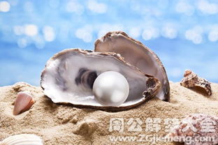 梦见别人送珍珠，这预示着什么吉祥寓意？