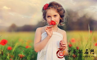 三、 情感炸弹：让名字充满泪点和笑点混合体