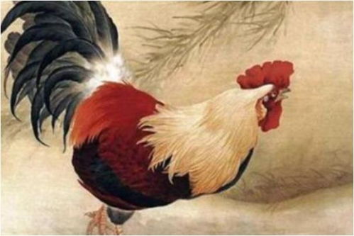 2026年6月和2027年属鸡人的财运分别如何？