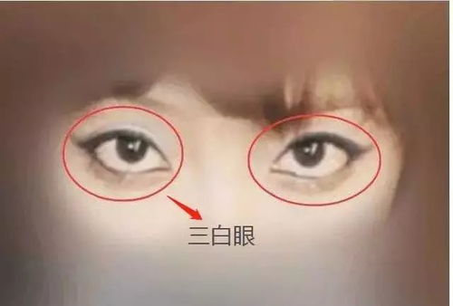 三、 现代媒介中的“读心术”热潮及其真实性议论