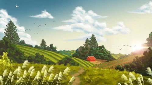 二、 水系景观与气场流动的辩证关系