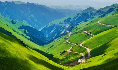 #4.2 水源补给# —— 别喝河水！