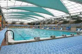 深度挖掘：泳池背后的心理机制