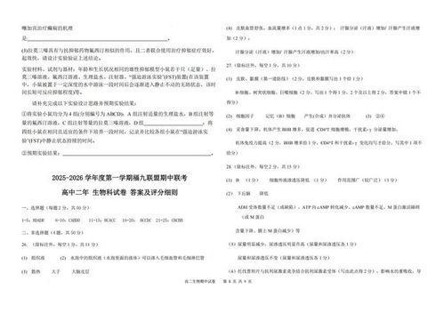 ：还福仪式与择吉传统的学术概述