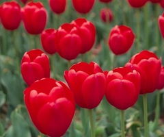 这破梦到底啥意思？让隔壁王大爷给你掰扯掰扯