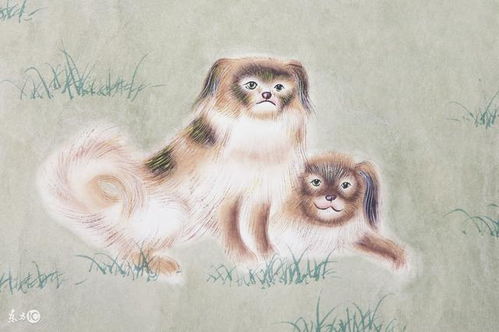 2026年属狗的贵人是谁，以及哪些人可能成为其小人？