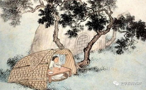 二、 民间惯与杨公忌日出生者命运的主要说法