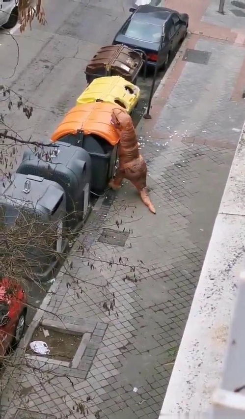 1.1 同事车祸的时间、地点与身份信息