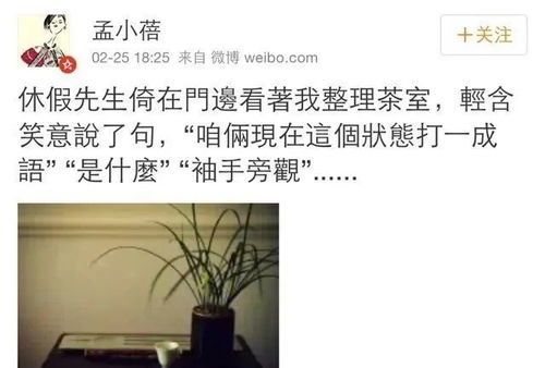 二、  性格匹配机制与互补效应探究