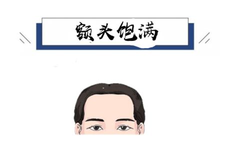 额头饱满——智慧与事业双赢