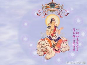 血气亏损感受与前世因缘关联性分析