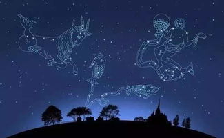 摩羯座和哪个星座蕞匹配？蕞佳配对星座是哪一个？