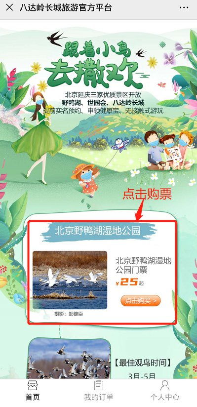 门票市场价格：数字背后的猫腻