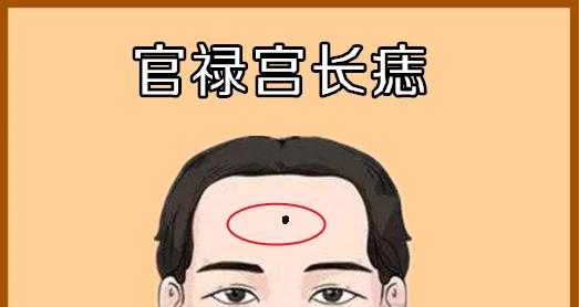 事业与官运的影响